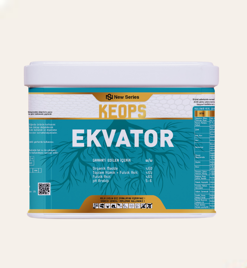 Ekvator