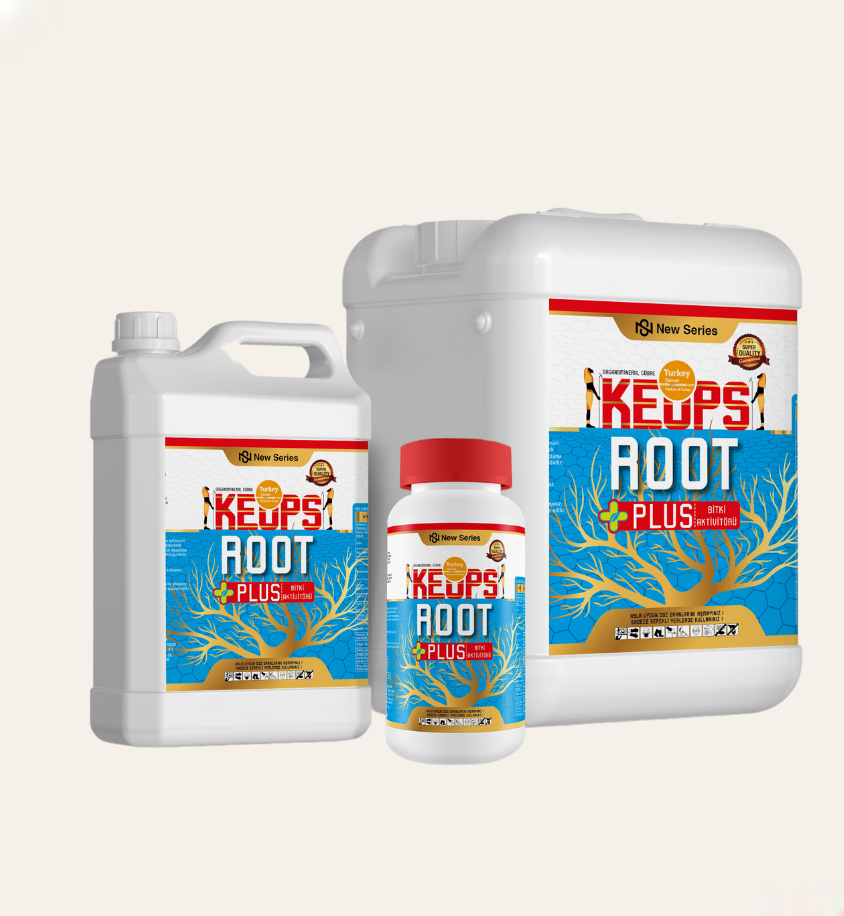 Root Plus +